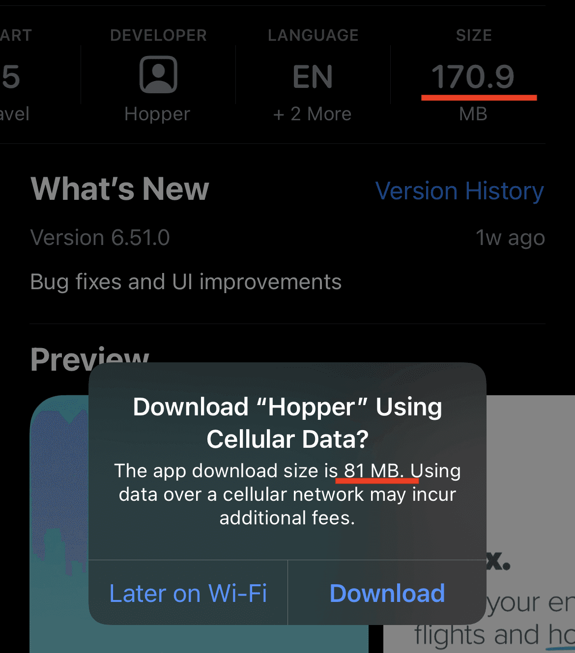Screenshot showing the download size of Hopper is 81 megabytes.