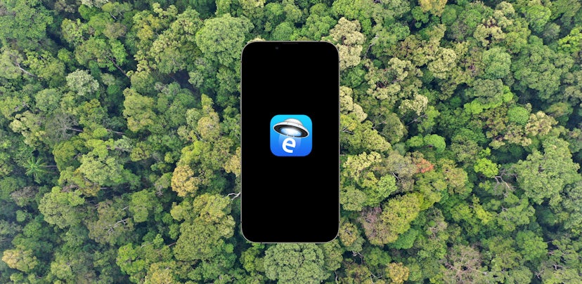 Graphic of a phone over a lush forest